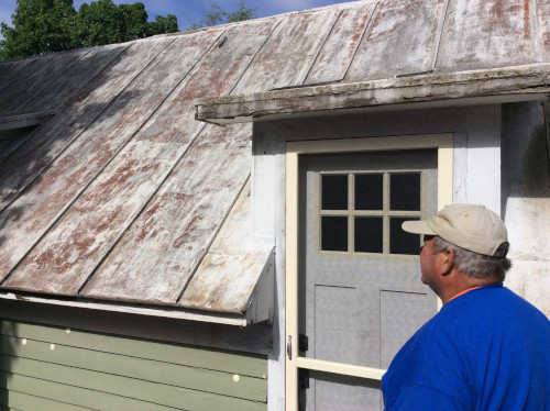 Before photo of Scott looking at the tree overhanging the roof at Design Ranch.